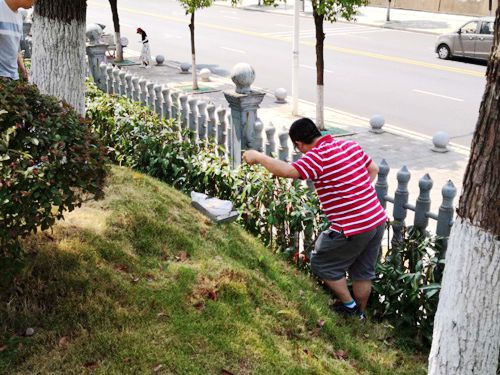 2deb8b24b8494b2fa41c448165b6143b.jpg 2deb8b24b8494b2fa41c448165b6143b.jpg