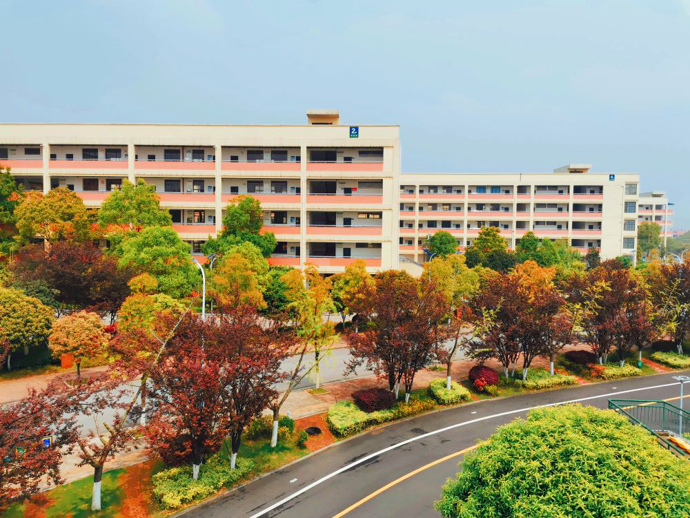 79f6b454de3b43bca773815d130fd6df.png 79f6b454de3b43bca773815d130fd6df.png