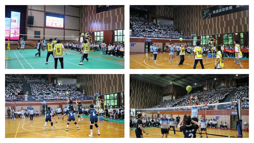 3317636923a54a5d9f6edaaad15580eb.jpg 3317636923a54a5d9f6edaaad15580eb.jpg